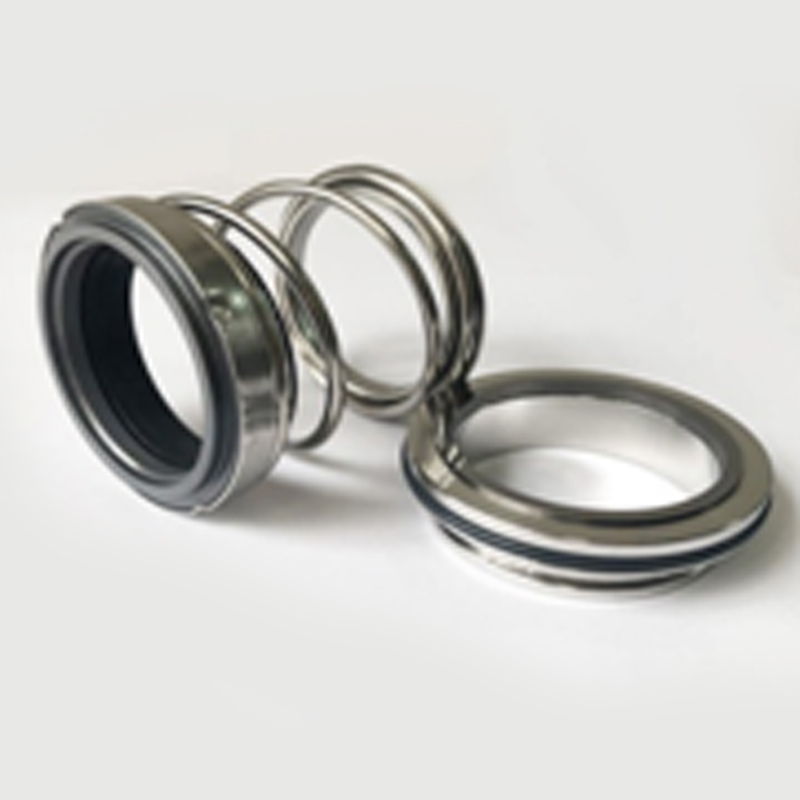Mechanical Seal 1