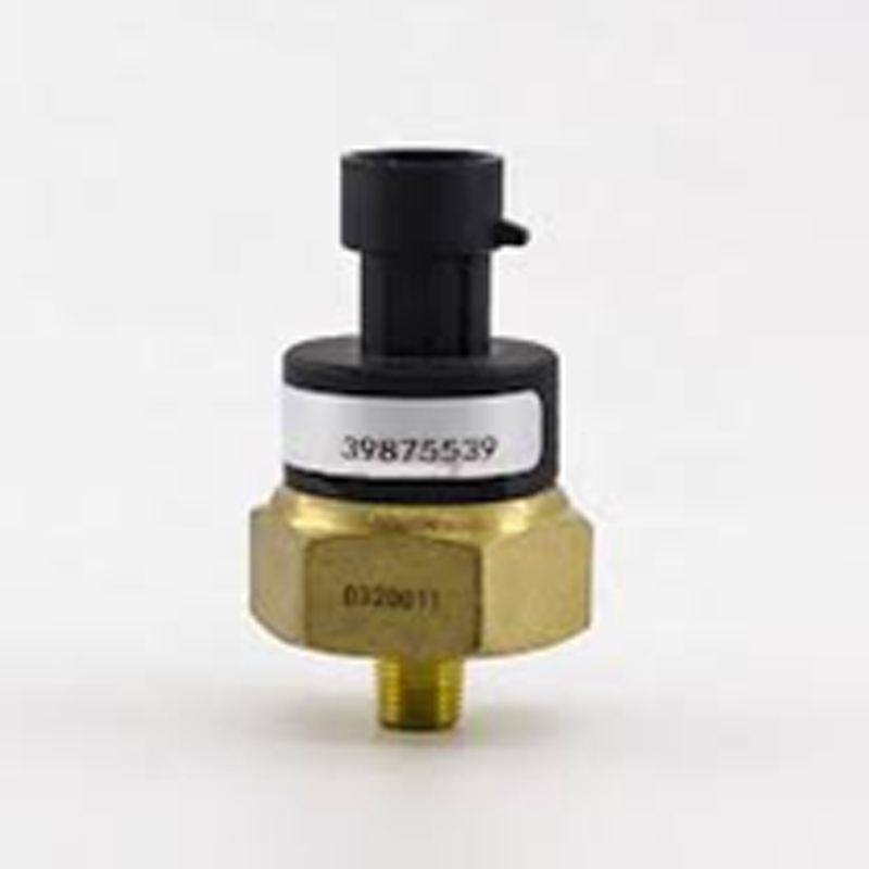 Pressure & Temperature Sensor 4